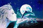 princess, dolphins, moonlight