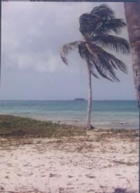 Goff's Caye