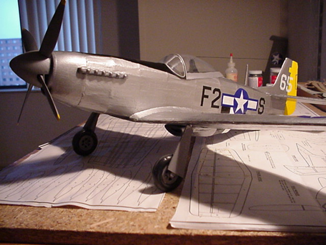 P51 Finished View