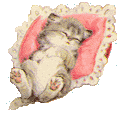 kittysleep.gif (5907 bytes)