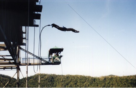 Bungee jumping in Cairns