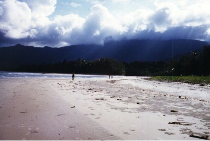 Myall Beach in Cape Tribulation