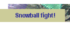 Snowball fight!