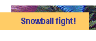 Snowball fight!