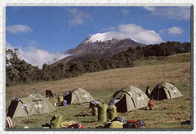 Camp Site - Marco Cruz