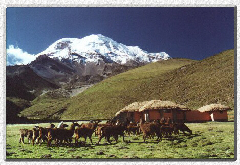 Estrella del Chimborazo Lodge - Gido Karges