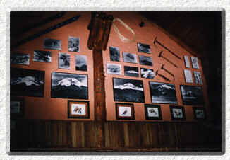 Lodge Picture Wall - Gus Noboa