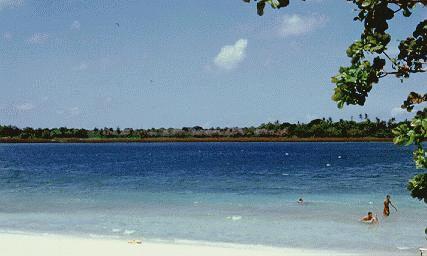 The major lagoon, mild water near the sea!