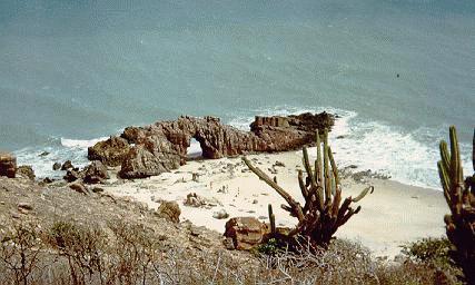 One of rarities, the 'Pedra Furada'