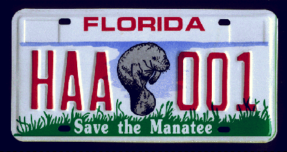 Florida Manatee Tag