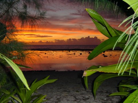 Beach at Sunset