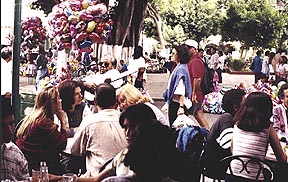 Blind musician - Cafetera del Jardn