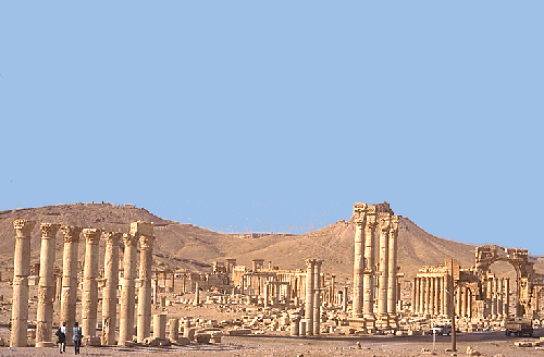 A view of Palmyra