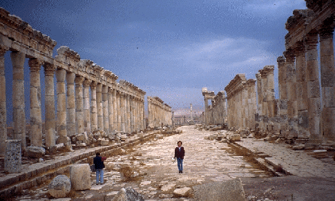 A view of Apamea