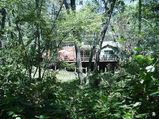 View of cabin from the south in summer