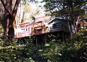 PHOTO OF SOUTH SIDE OF CABIN