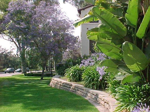 Landscaping in front of what used to be Orr Hall