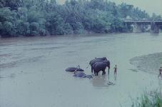 Kanty, rivire Mahaveli Ganga