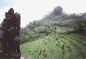 terrasses et statue