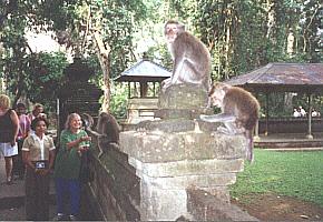 temple Pura Taman