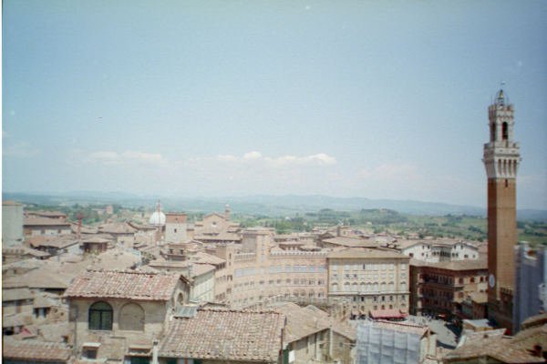 Sienna - Roofs