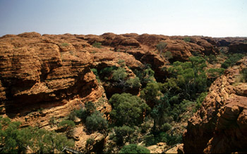 Kings Canyon