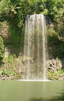 Millaa Millaa Falls