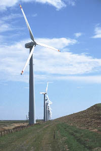 Windpark in Nordfriesland