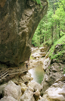 Baerenschuetzklamm