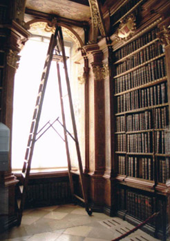 The library