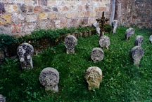 oldbasquegraves