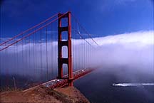 ggbridgefog