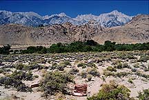 mtwhitney