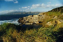 sutrobaths1