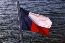 texasflag