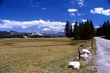 tuolumnemeadow