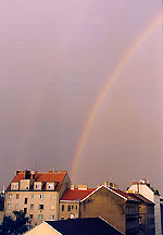 viennarainbow