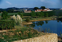 madiranwineryscape