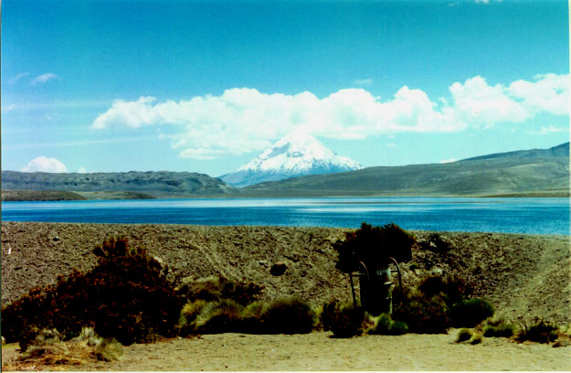 Sajama