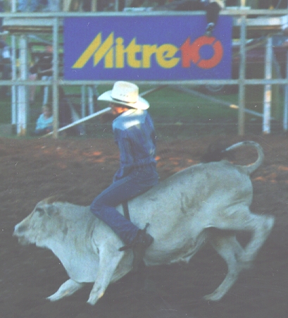 Man riding bull