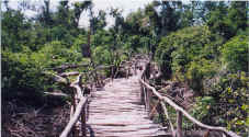 Ecological Walk, Melia Bavaro All Suites, Dominican Republic