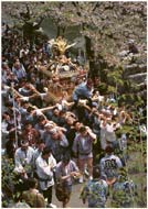 Shrine From Above