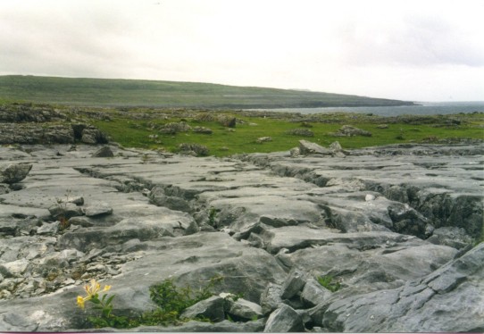 The Burren