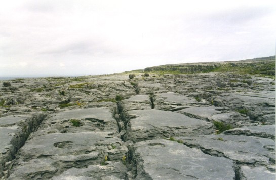 The Burren