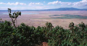 0410 Utsikt Ngorogoro.jpg (356910 bytes)