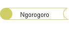 Ngorogoro