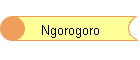 Ngorogoro