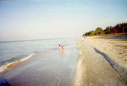 nearby beach