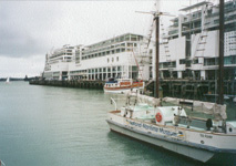 aukland harbour