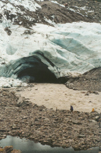 Fox Glacier